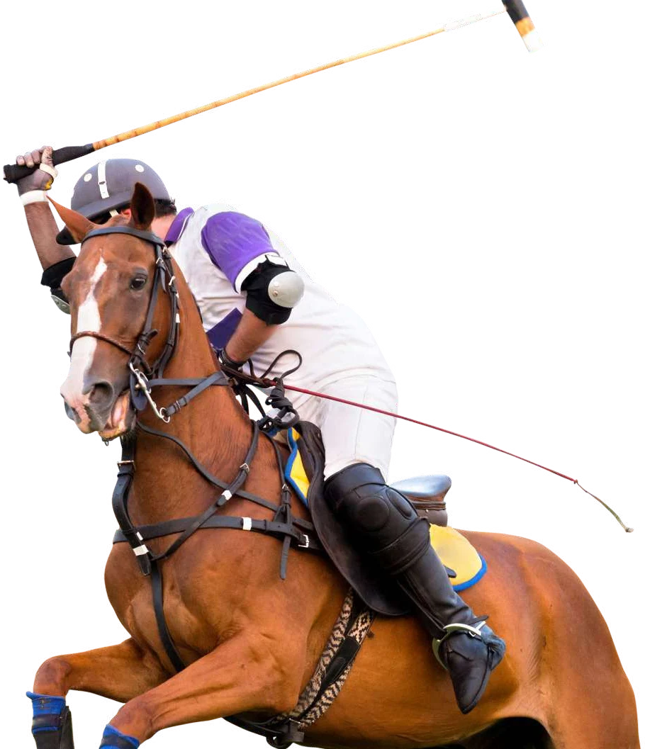 A polo player in white and purple swings his mallet high